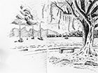 croquis