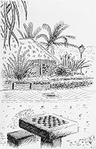 croquis