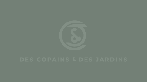 C&J logo ban